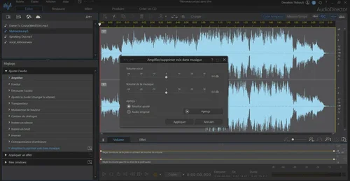 AudioDirector Interface - utiliser vocal remover