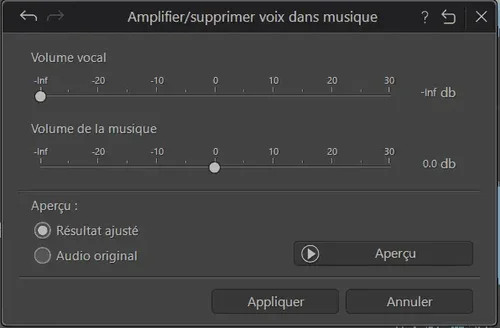 AudioDirector Interface - supprimer les voix