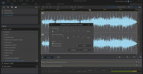 AudioDirector Interface