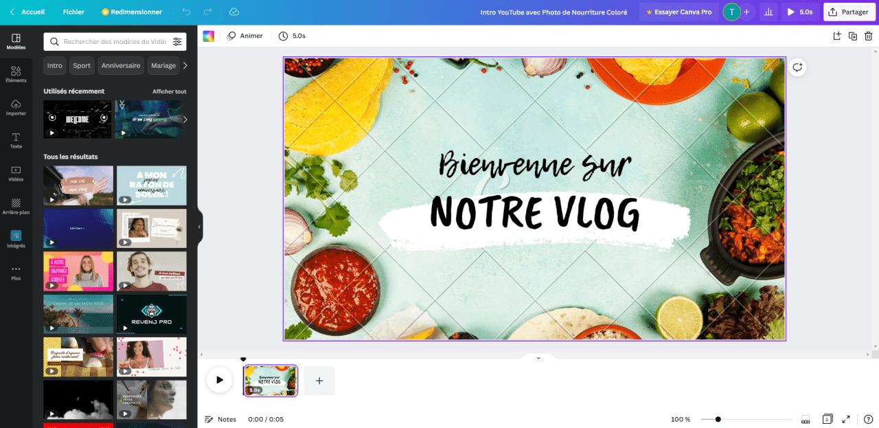Canva Interface