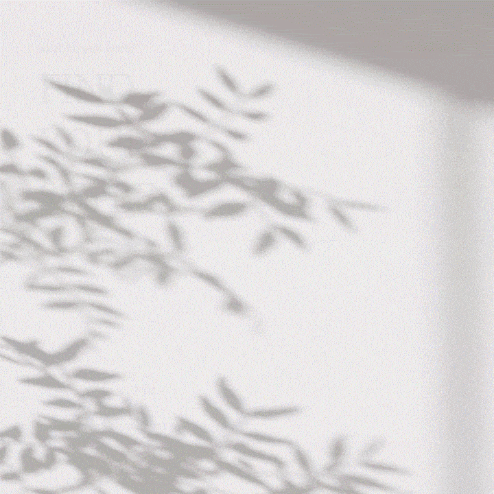 活動影片模板