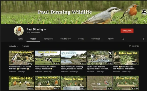 YouTube Channel - Paul Dinning Wildlife