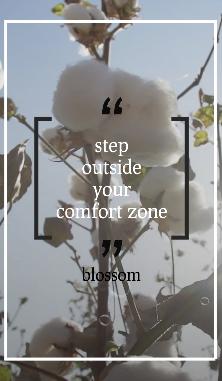 Blossom - Best for Life