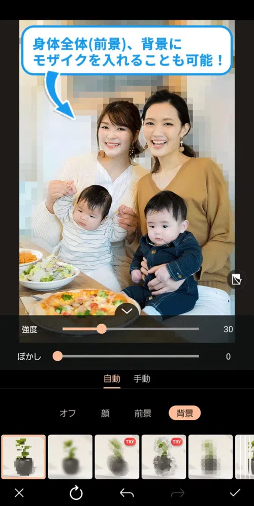 自動モザイク機能