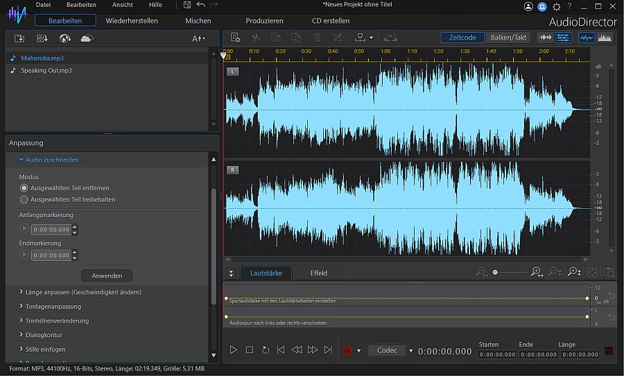 AudioDirector Interface