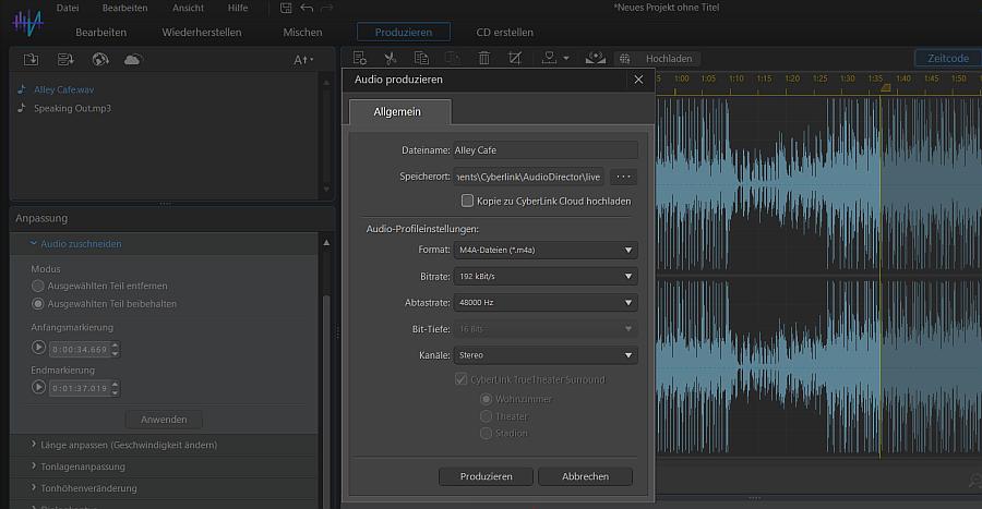 AudioDirector - Produzieren