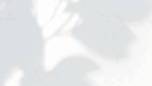 Promeo - create compelling ads in the palm of your hand