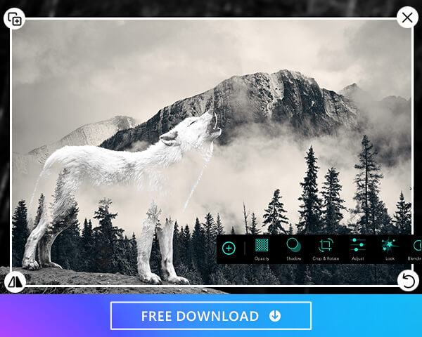 Use the best photo editor app, PhotoDirector