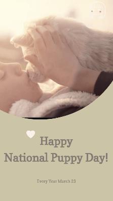 Pets - Best for Pets