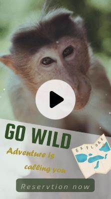 Best for Zoos and Safaris