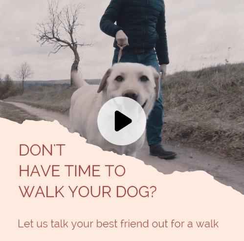 Dog Walking Template - Best for Walkers & Pet Services