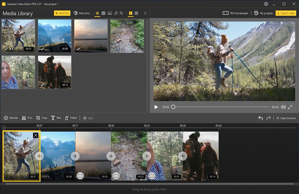Adobe Premiere Elements Interface