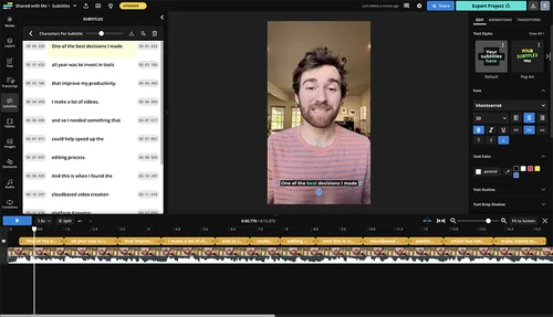 Movavi Video Interface