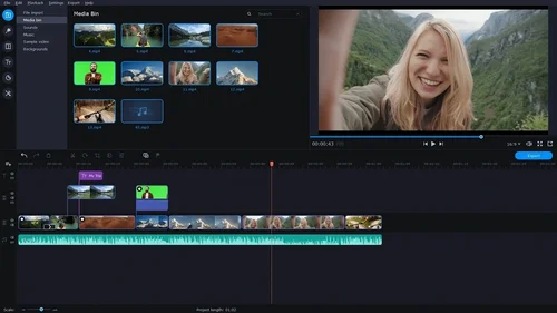 Movavi Video Interface
