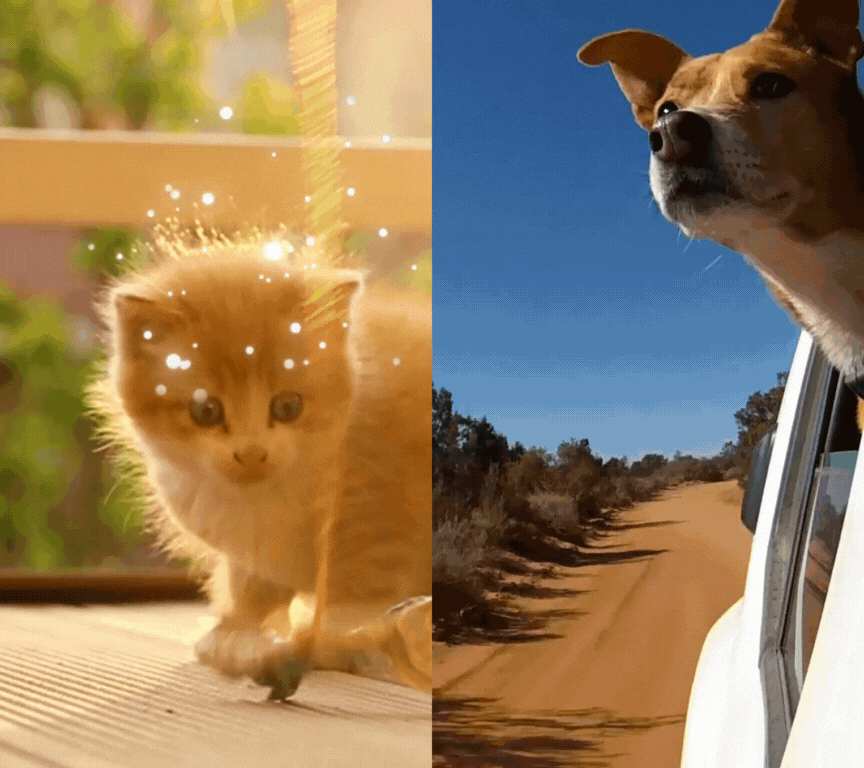 立即試用 IG 限動排版範本