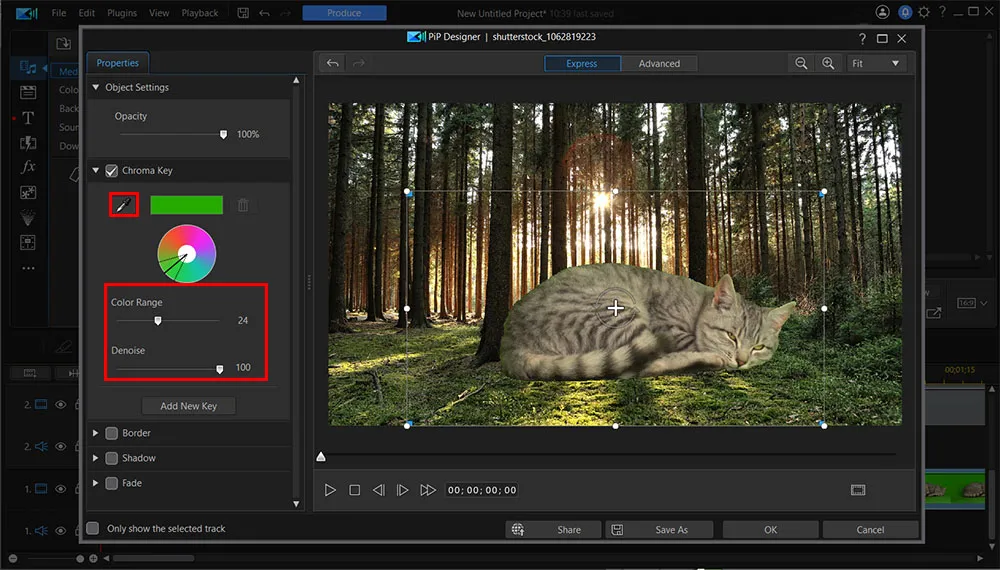 PowerDirector Interface - Adjustments