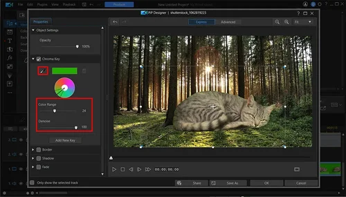 PowerDirector Interface - Adjustments