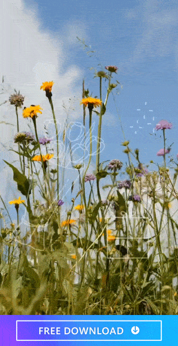 Use the best photo editor app, PhotoDirector