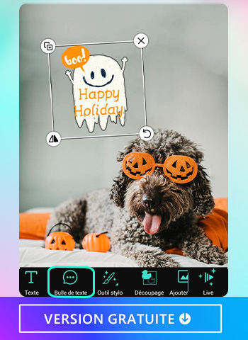 Ajouter une bulle de texte avec la meilleure application photo