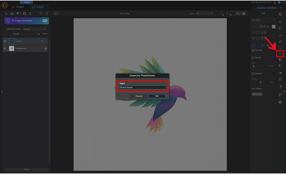 PhotoDirector - Guide Tools