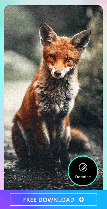 Use the best photo editor app, PhotoDirector