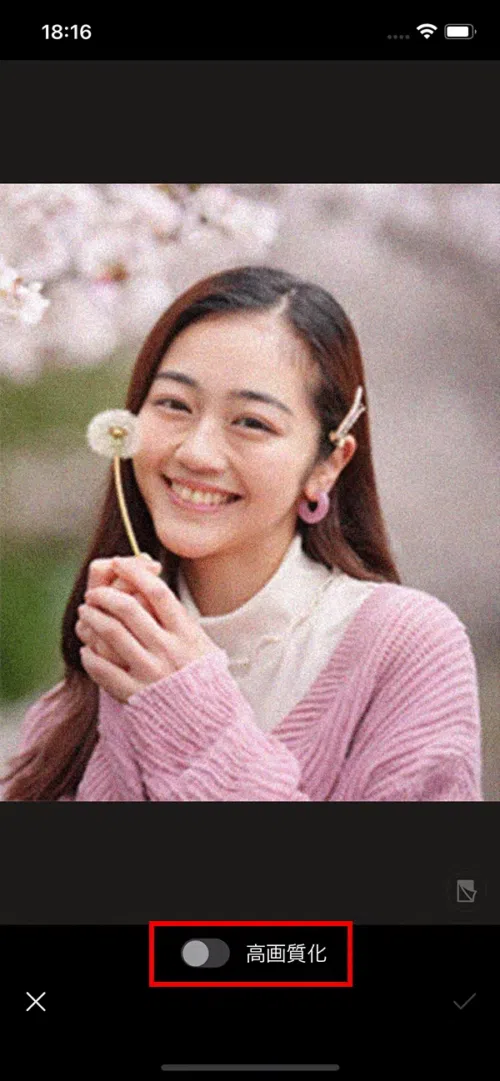 Promeo デザイン素材選択画面