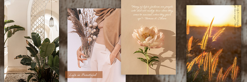 7 Best Graphic Makers for Social Media