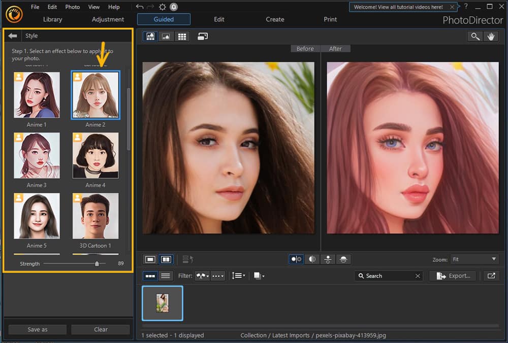 PhotoDirector - Preset