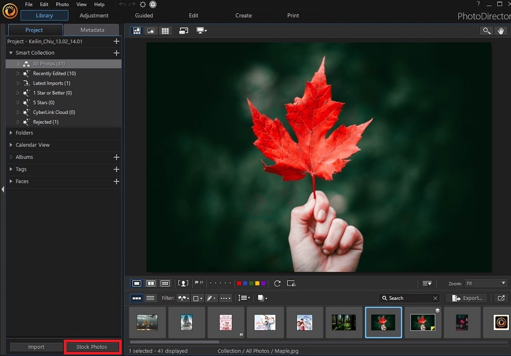 PhotoDirector - Stock Photos