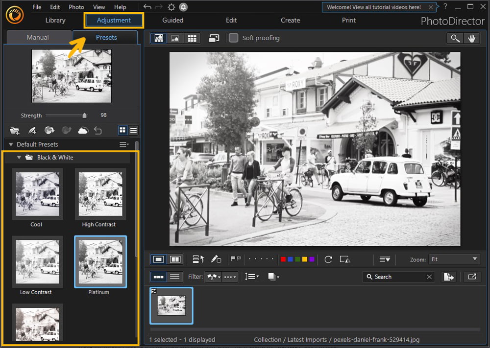PhotoDirector - Black & White