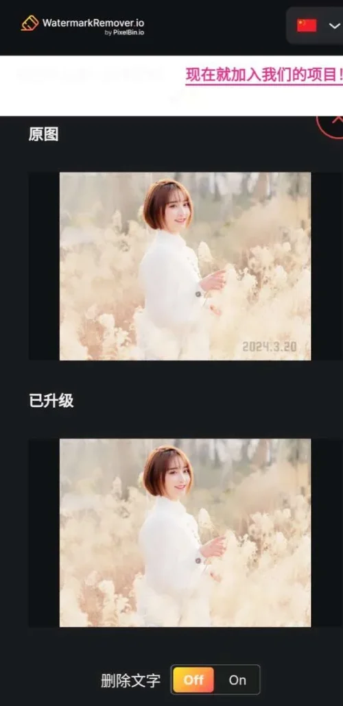 WatermarkRemover App