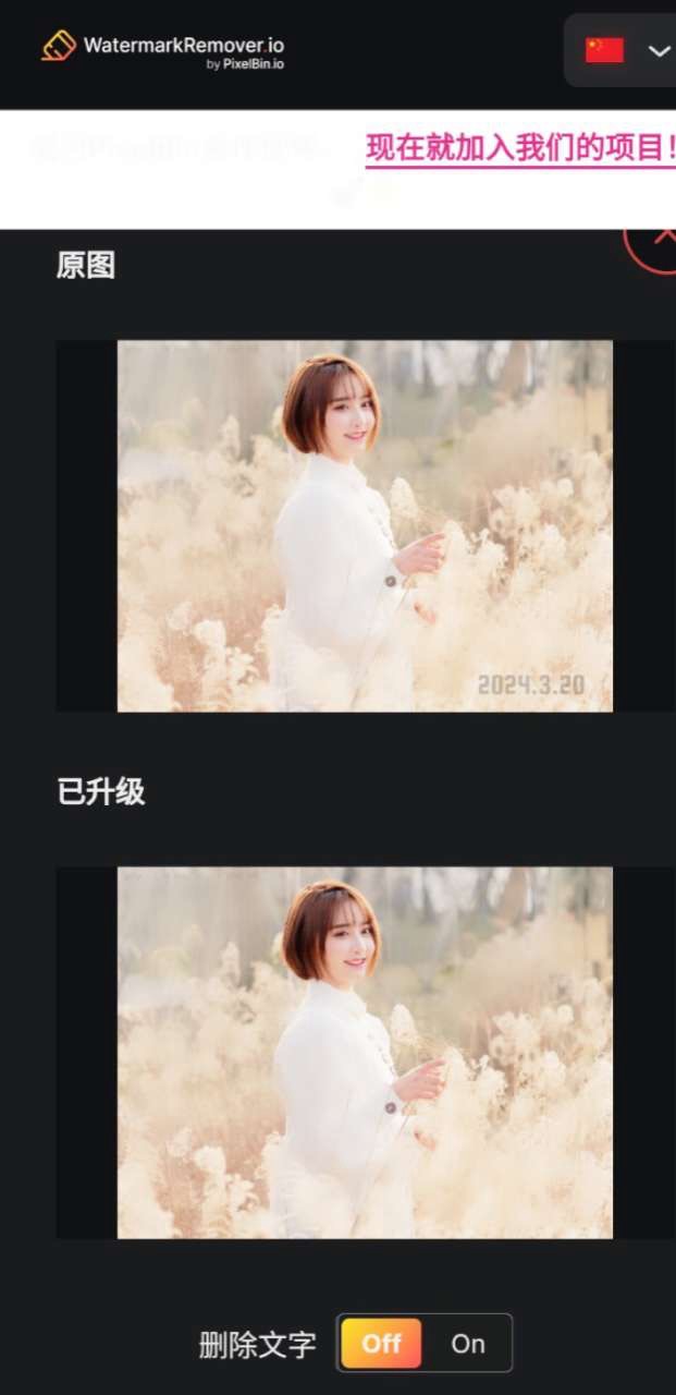 WatermarkRemover App