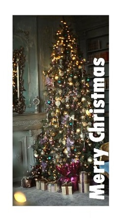 Xmas Template - by Dboy 