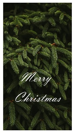 Merry Christmas Template - by Daniel Shueh 