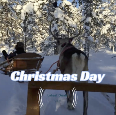 Seasonal Template - by Chiachi_Chang 