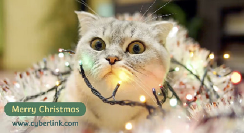 Enjoy Christmas Template - Best for Christmas Gift Surprise