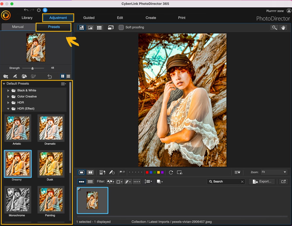 PhotoDirector - Use Filters (Presets)