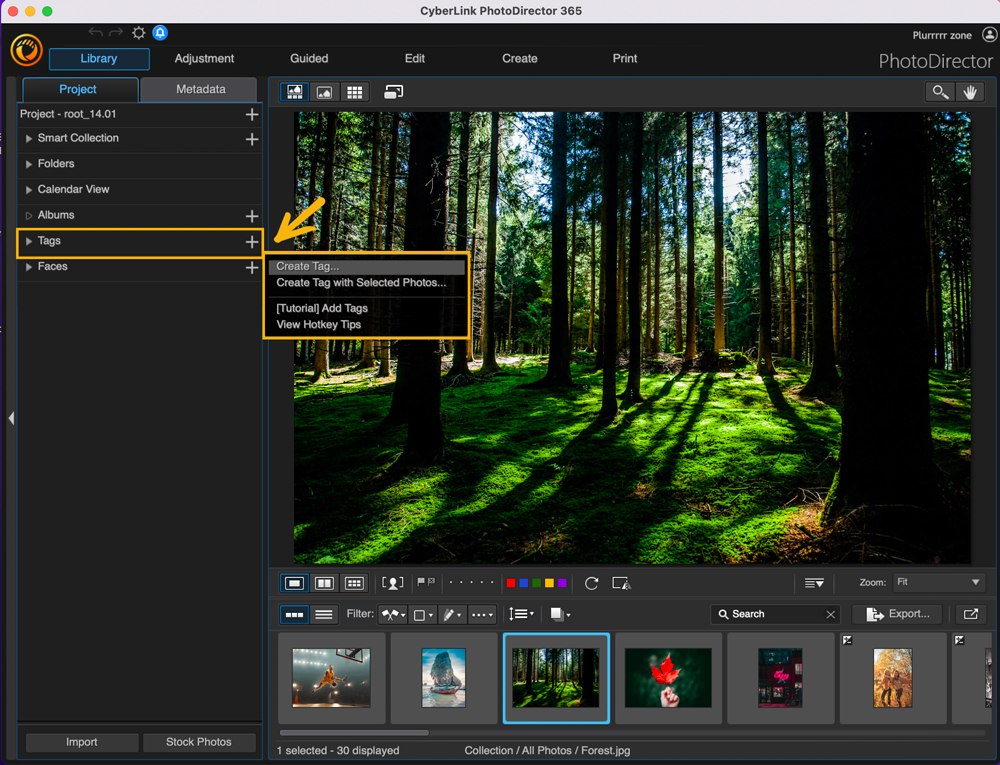 PhotoDirector - Create Tag