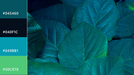 Emerald Green Color: Everything You Need to Know