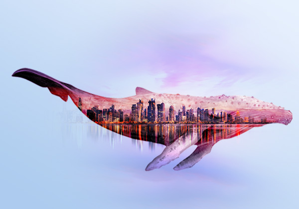 PhotoDirector App - Natur-Doppelbelichtung