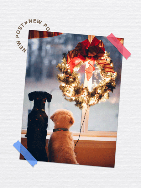 Use the best photo editor app, PhotoDirector