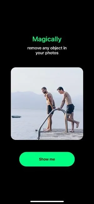 Object Remover Interface