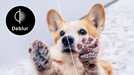 Unblur an Image for Free: Guide with The Best AI Image Sharpener