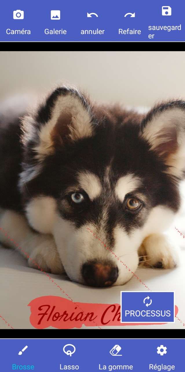 Remove Unwanted Object Interface - Suppression de filigrane