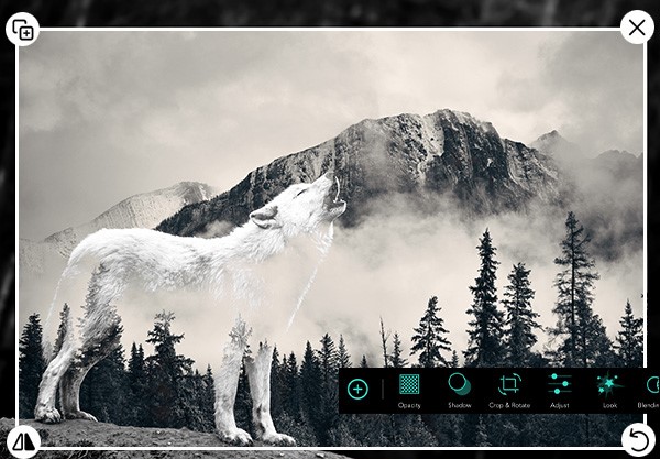 PhotoDirector