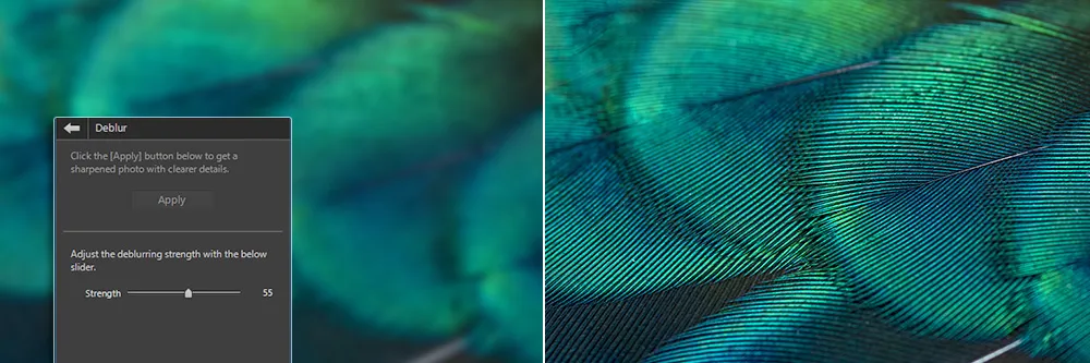 인기 업스케일링 프로그램 6종