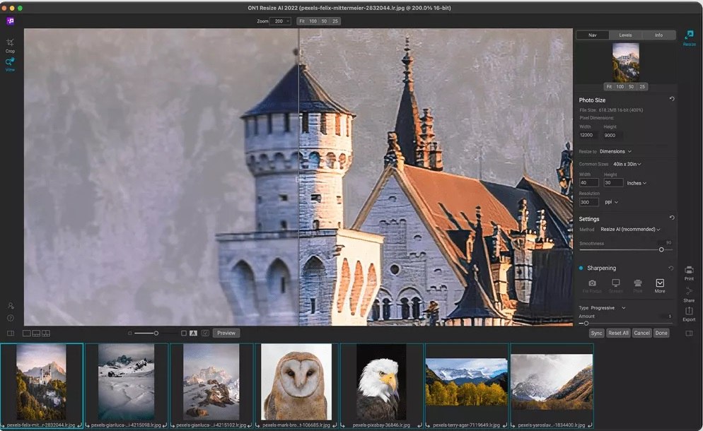 ON1 Resize AI 인터페이스
