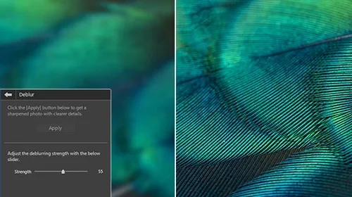 (2025년 최신) 사진 화질 높이기 작업에 특화된 업스케일링 프로그램 7가지