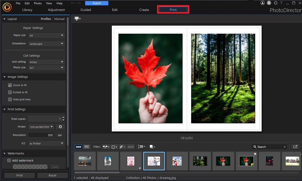 PhotoDirector - Print