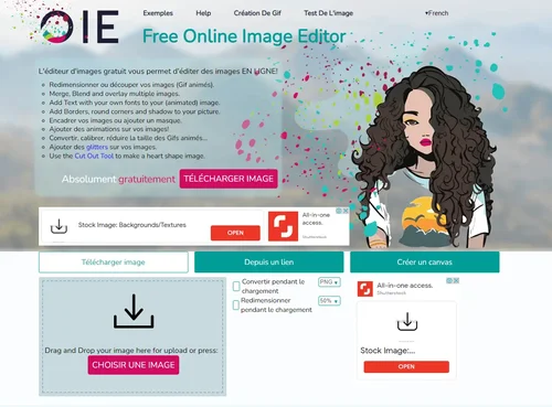 Online Convert Interface